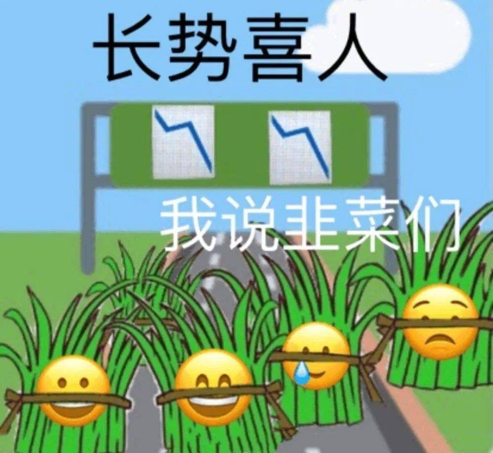 二舅火了<strong></p>
<p>火币中国</strong>，但“二舅币”崩了