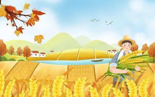 11月2日 尿素价格上调10-30元/吨<strong></p>
<p>比特币最新价格行情</strong>！钾肥、磷铵、复合肥、最新价格行情！