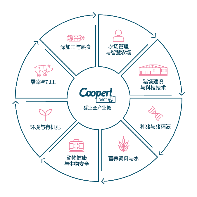 法国Cooperl科普利信：引领猪业全产业链<strong></p>
<p>信链虚拟币</strong>，布局中国市场