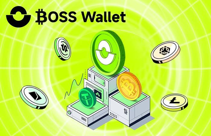 数字货币兴起<strong></p>
<p>虚拟币加密</strong>，BOSS Wallet虚拟币引领去中心钱包唯一合法加密资产趋势