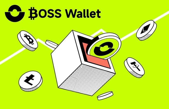 数字货币兴起<strong></p>
<p>虚拟币加密</strong>，BOSS Wallet虚拟币引领去中心钱包唯一合法加密资产趋势