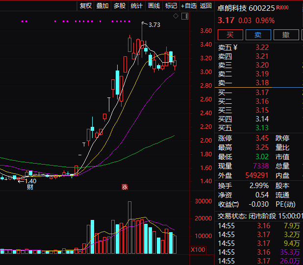 连续5年造假！这只A股<strong></p>
<p>虚拟币跨境</strong>，面临强制退市！