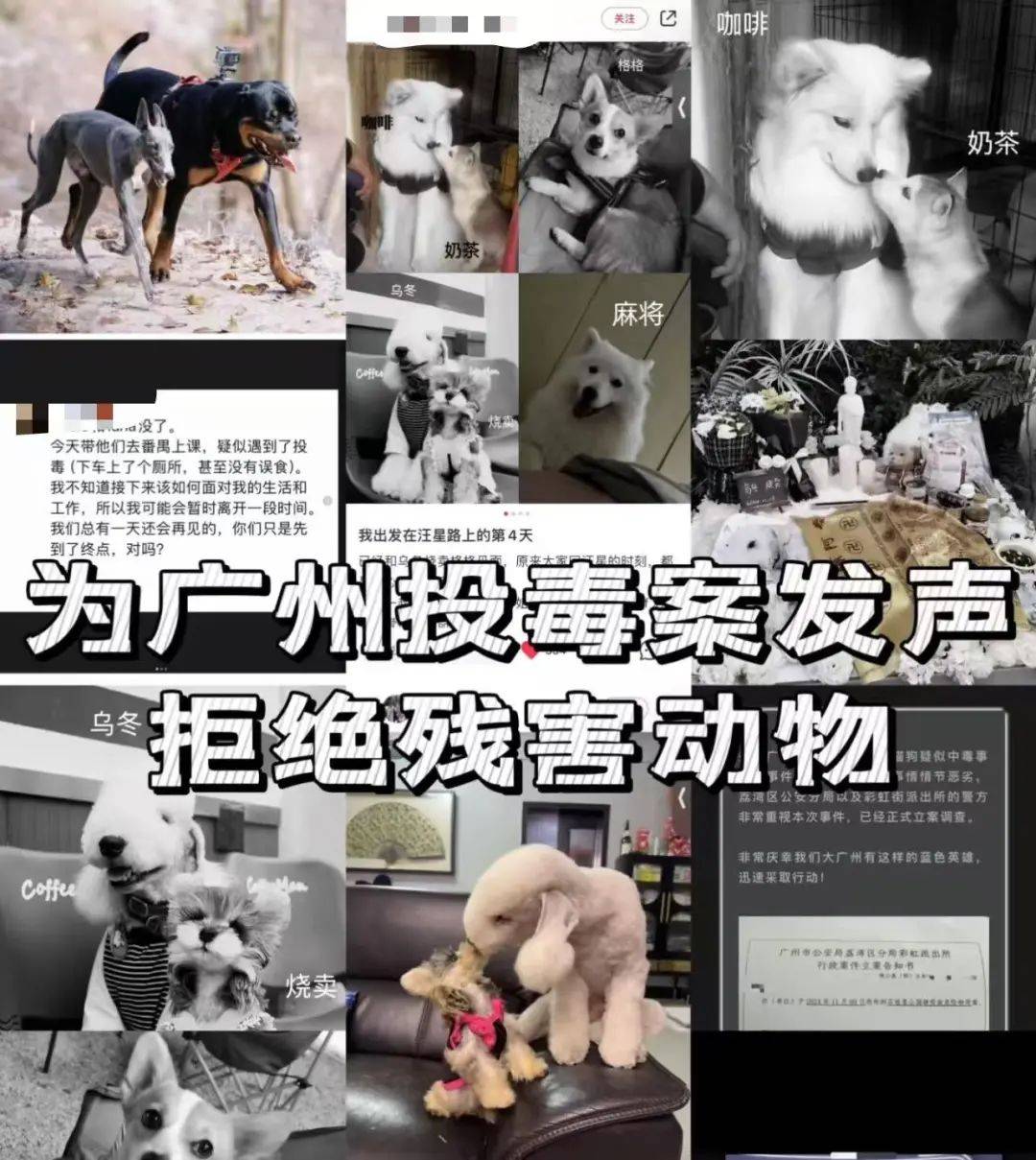 “死亡数据仍在上升”<strong></p>
<p>盐城虚拟币</strong>！广州警方介入