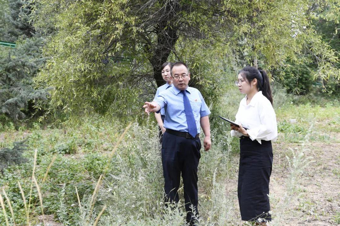 还有8天刑满释放<strong></p>
<p>虚拟币锻造</strong>，十年有期徒刑变为死缓，最高检抗诉的甘肃马某林案获改判