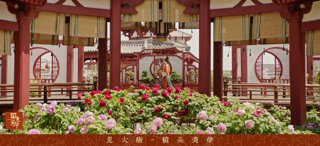 菏泽牡丹卖爆<strong></p>
<p>虚拟币口子</strong>！为花农带来泼天流量！《国色芳华》多维度绽放文旅价值