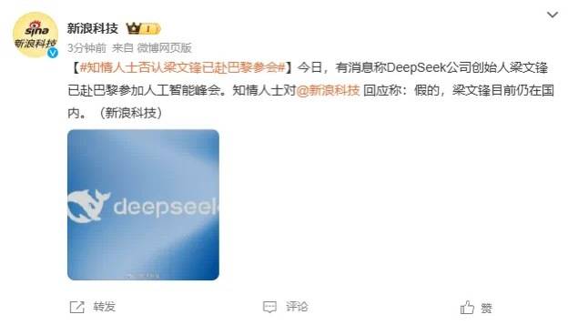DeepSeek梁文锋用黑科技远程参加巴黎AI峰会？假的<strong></p>
<p>大型虚拟币</strong>！