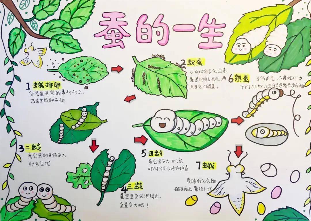 一年卖出1亿条虫！迷倒全国“10后”的小生意<strong></p>
<p>虚拟币上交易所</strong>，有人年入千万