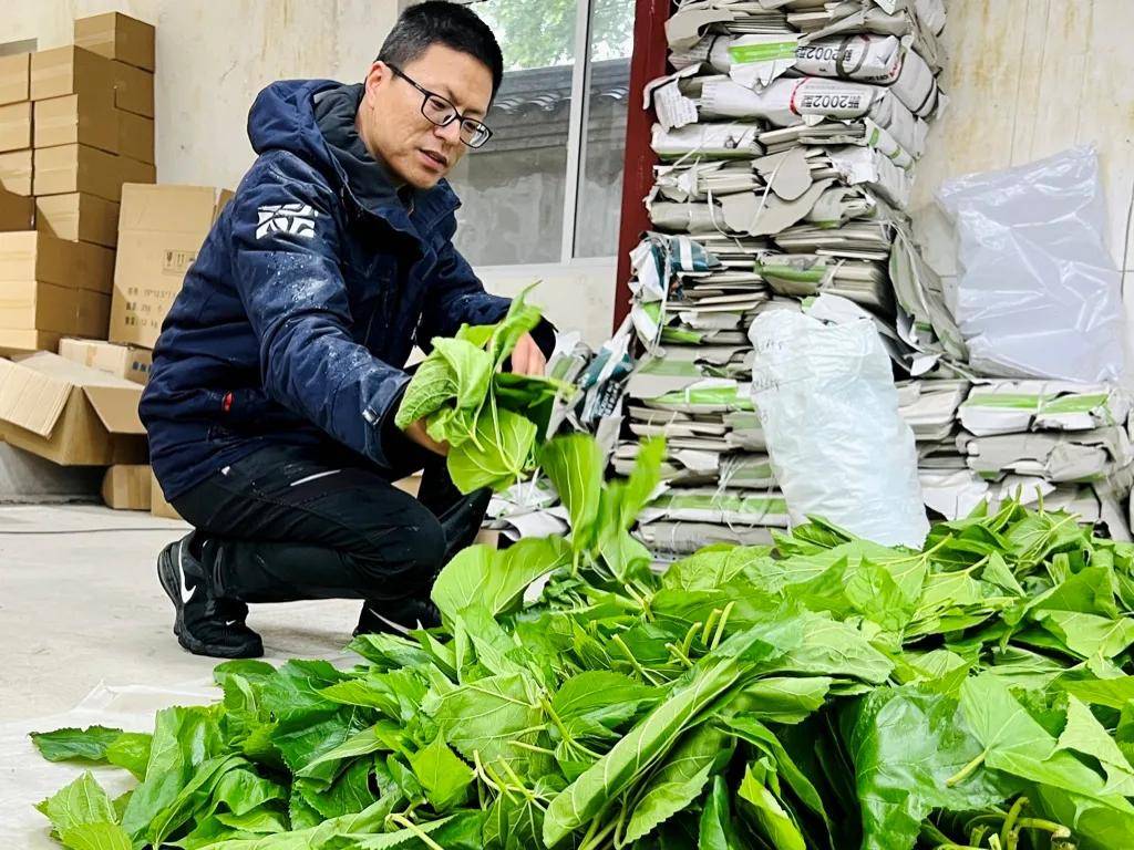 一年卖出1亿条虫！迷倒全国“10后”的小生意<strong></p>
<p>虚拟币上交易所</strong>，有人年入千万