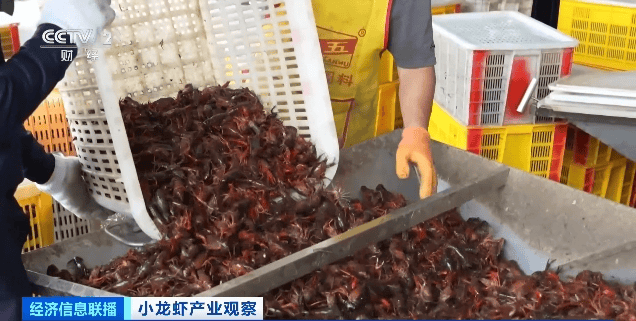 价格暴跌近50%<strong></p>
<p>虚拟币是传销吗</strong>！“接下来还会降”！青岛正大量上市……