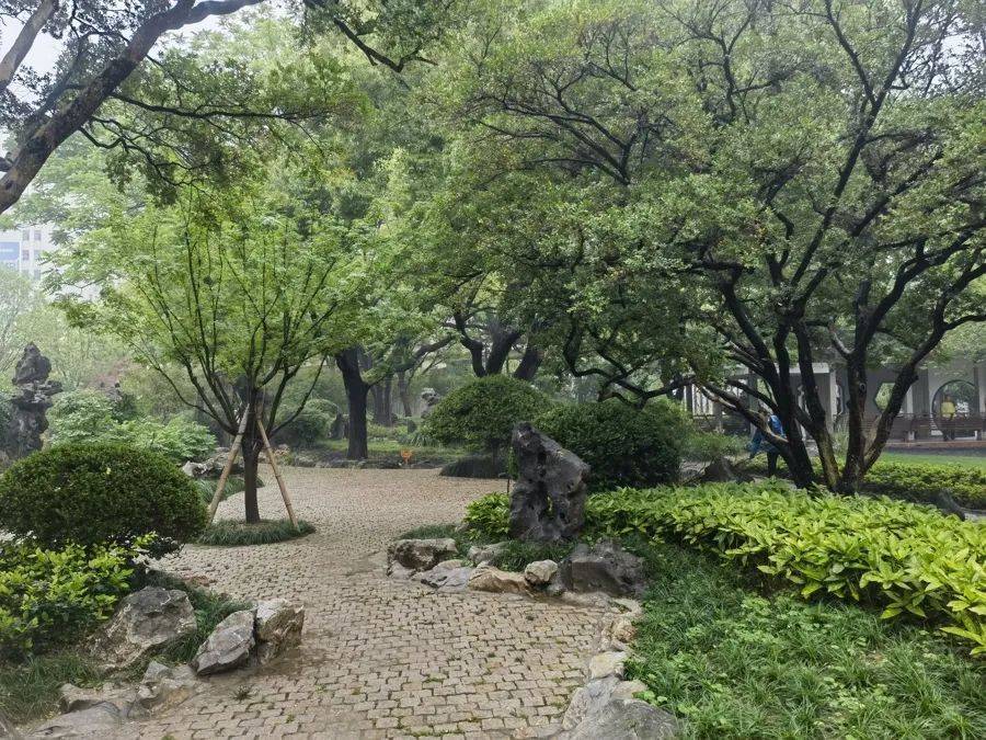 紧急提醒：瞬间爆发！上海市民崩溃：密密麻麻<strong></p>
<p>比特币虚拟货币</strong>，蠕蠕爬行...“梧桐区”已开始战斗，白蚁或提前分飞