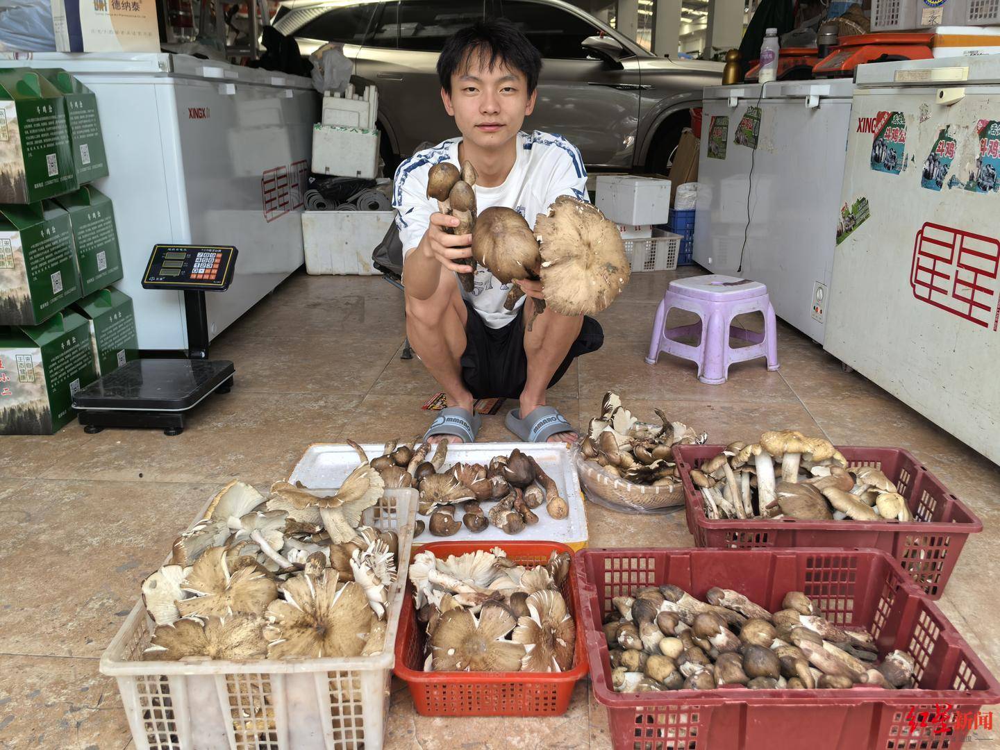 “天价”鸡枞调查：最贵卖到1800元/公斤！雨水少致产量低<strong></p>
<p>虚拟币</strong>，多地价高客少