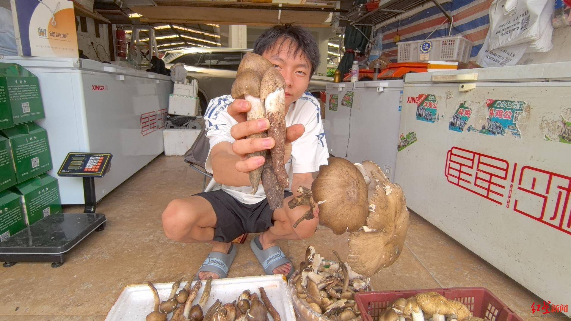 “天价”鸡枞调查：最贵卖到1800元/公斤！雨水少致产量低<strong></p>
<p>虚拟币</strong>，多地价高客少