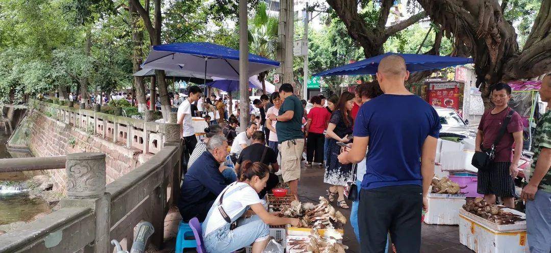 “天价”鸡枞调查：最贵卖到1800元/公斤！雨水少致产量低<strong></p>
<p>虚拟币</strong>，多地价高客少