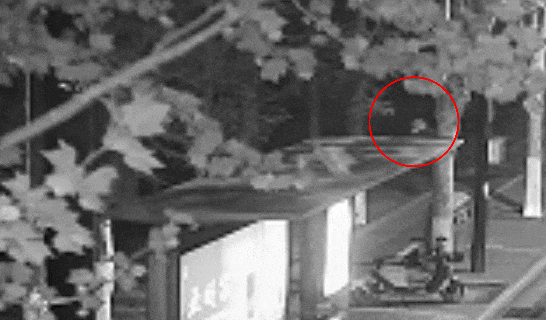 江苏一男子戴仿真“人皮”面具入室盗窃<strong></p>
<p>虚拟币</strong>，流窜多个小区作案，涉案金额达15万余元