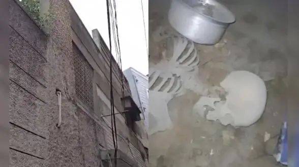 印度一男子寻板球<strong></p>
<p>虚拟币论坛</strong>，意外发现隐藏十年之久的白骨，通话记录帮助锁定死亡时间