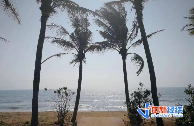 海南全岛封关时间定了<strong></p>
<p>知乎虚拟币</strong>！啥是封关？与你有啥关系？