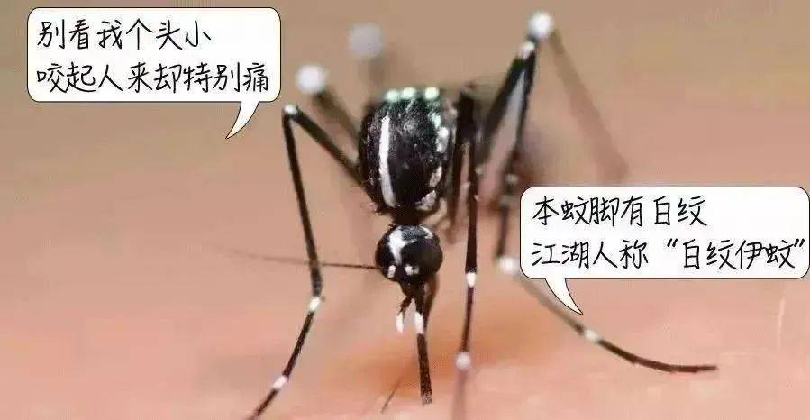 风险增大<strong></p>
<p>MBI虚拟币</strong>！深圳疾控：去这247处要小心！张文宏首次发声