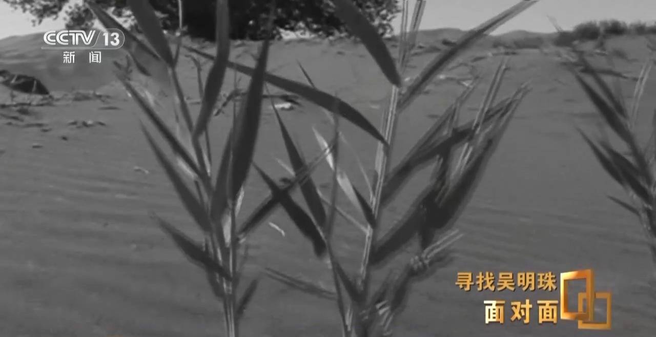 面对面丨中国人的吃瓜自由要感谢她<strong></p>
<p>虚拟币Steam</strong>！吴明珠说她的一生就是结几个好瓜献给人民