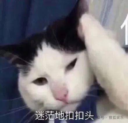 离婚三年又被拍到亲密逛超市<strong></p>
<p>电线</strong>，他俩这是纯带娃还是真复合了？