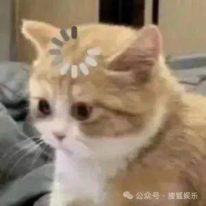 离婚三年又被拍到亲密逛超市<strong></p>
<p>电线</strong>，他俩这是纯带娃还是真复合了？
