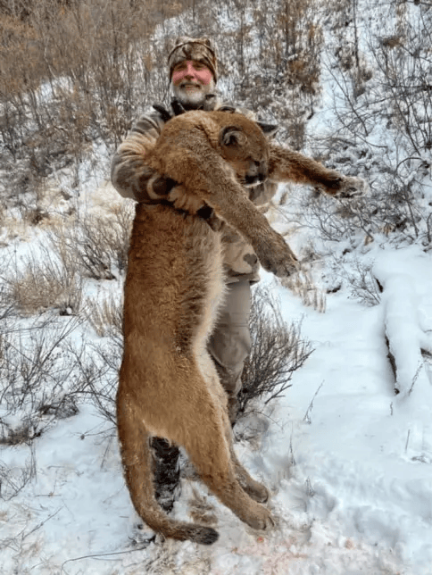 美国百万富翁在南非参加高端付费狩猎活动<strong></p>
<p>单休</strong>，被水牛顶死