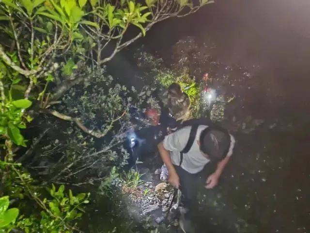每人罚款5000元<strong></p>
<p>利亚德股票</strong>！深圳开出全国首张罚单