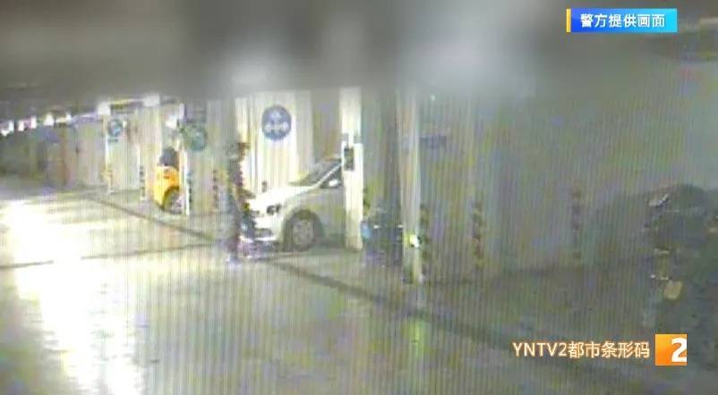 凌晨怪事！男子提着茅台袋子在车库<strong></p>
<p>利亚德股票</strong>，翻垃圾桶竟为了.....