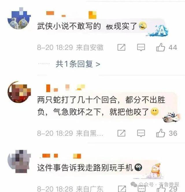 安徽宣城一男子走路玩手机<strong></p>
<p>上海莱士股票</strong>，一脚踩中打架的竹叶青和五步蛇，被俩毒蛇咬3口！医院：暂无生命危险，正在治疗