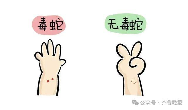 安徽宣城一男子走路玩手机<strong></p>
<p>上海莱士股票</strong>，一脚踩中打架的竹叶青和五步蛇，被俩毒蛇咬3口！医院：暂无生命危险，正在治疗