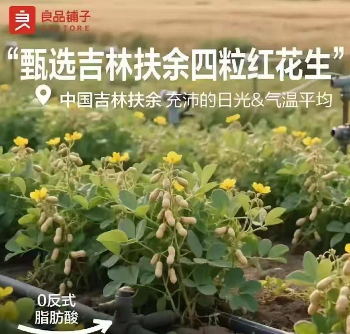良品铺子的花生“长在树上”<strong></p>
<p>深康佳a股票</strong>，不只是没常识