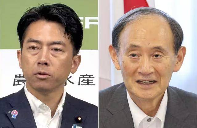 黑锅背完石破茂被赶下台<strong></p>
<p>科士达股票</strong>，下届日本首相人选，有个“反华”魔怔人