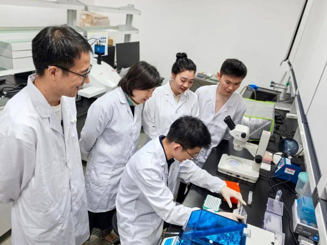 重磅<strong></p>
<p>蓝色光标股票</strong>！山东农大科研团队破解一科学界百年未解之谜
