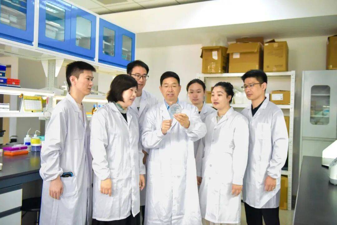 重磅<strong></p>
<p>蓝色光标股票</strong>！山东农大科研团队破解一科学界百年未解之谜