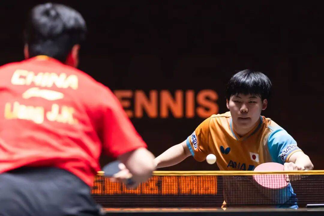 王艺迪完胜桥本<strong></p>
<p>万科a股票</strong>，向鹏挺进8强 | WTT中国大满贯单打