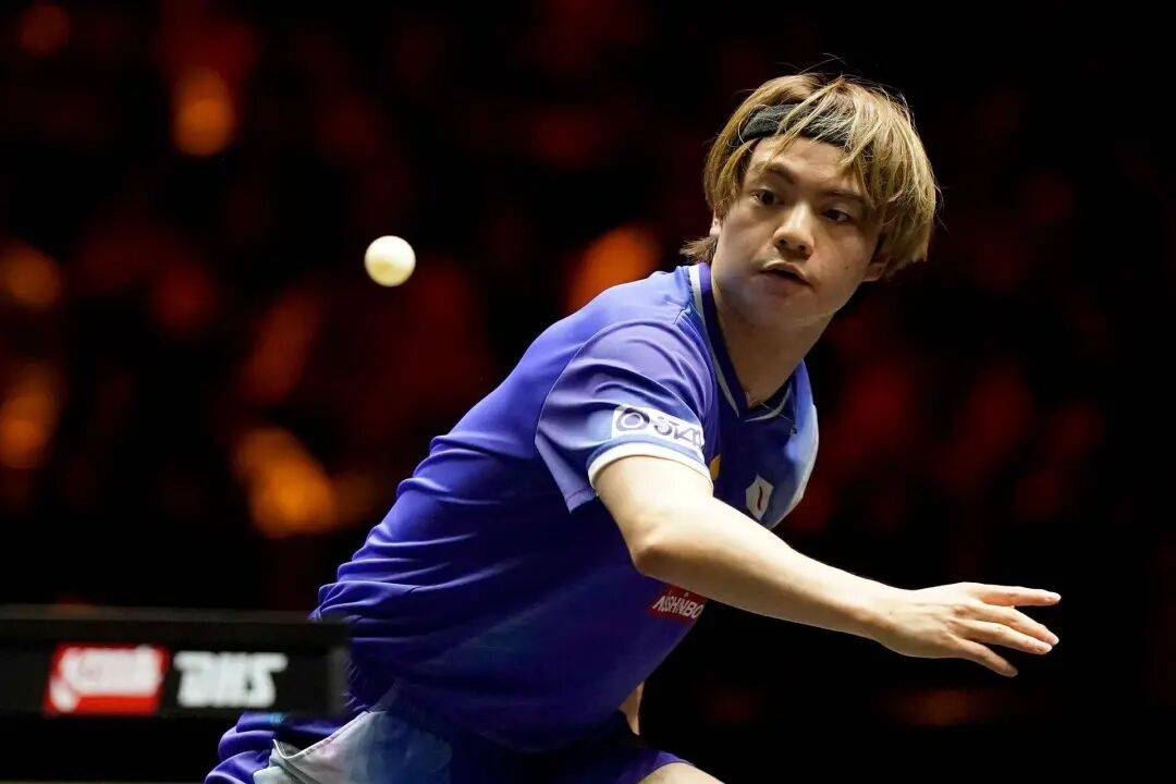 王艺迪完胜桥本<strong></p>
<p>万科a股票</strong>，向鹏挺进8强 | WTT中国大满贯单打