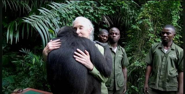 “课本上的传奇”<strong></p>
<p>万科a股票</strong>,走了