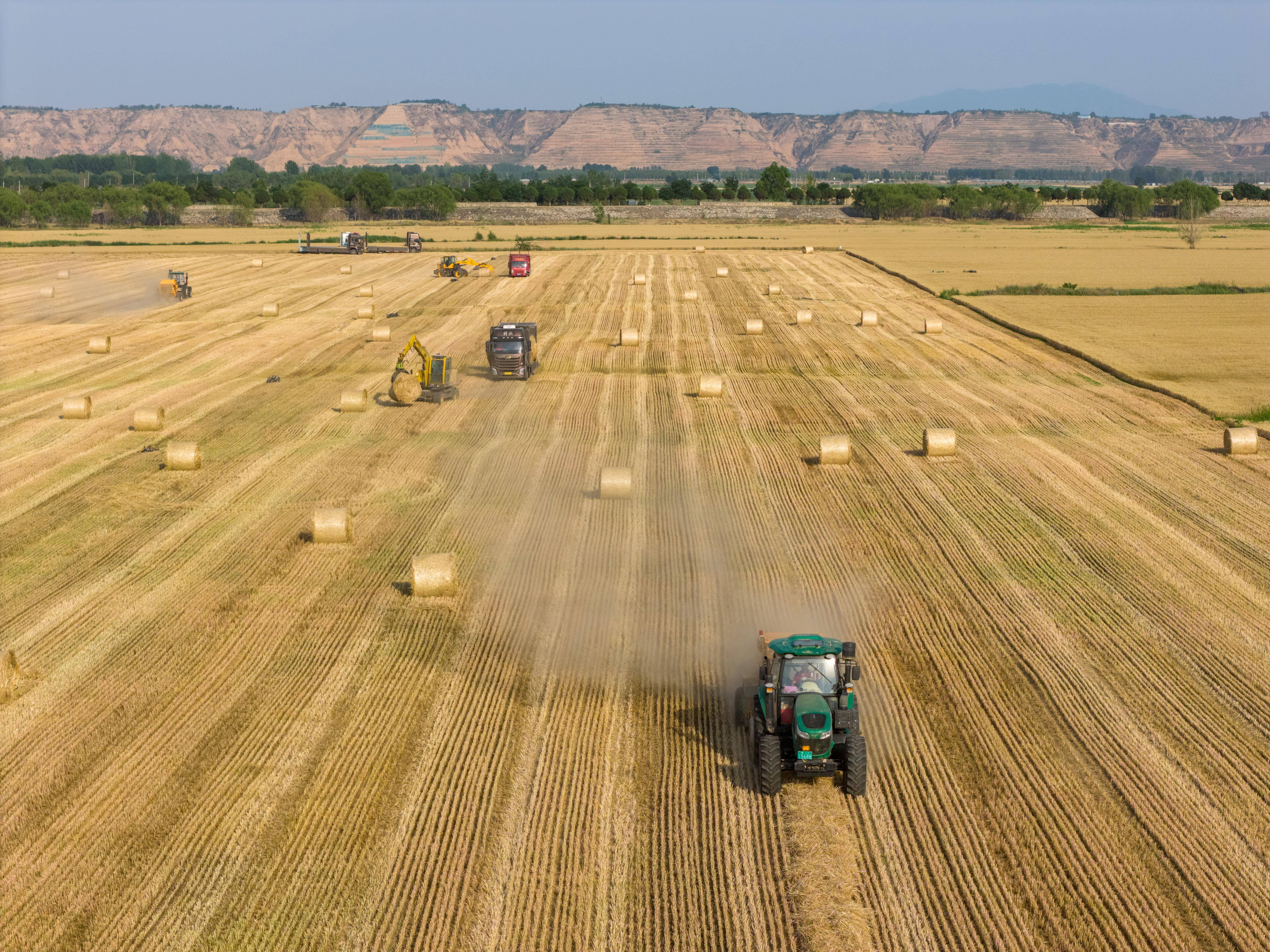 时政微观察丨为<strong></p>
<p>万科a股票</strong>了前无古人的伟大事业