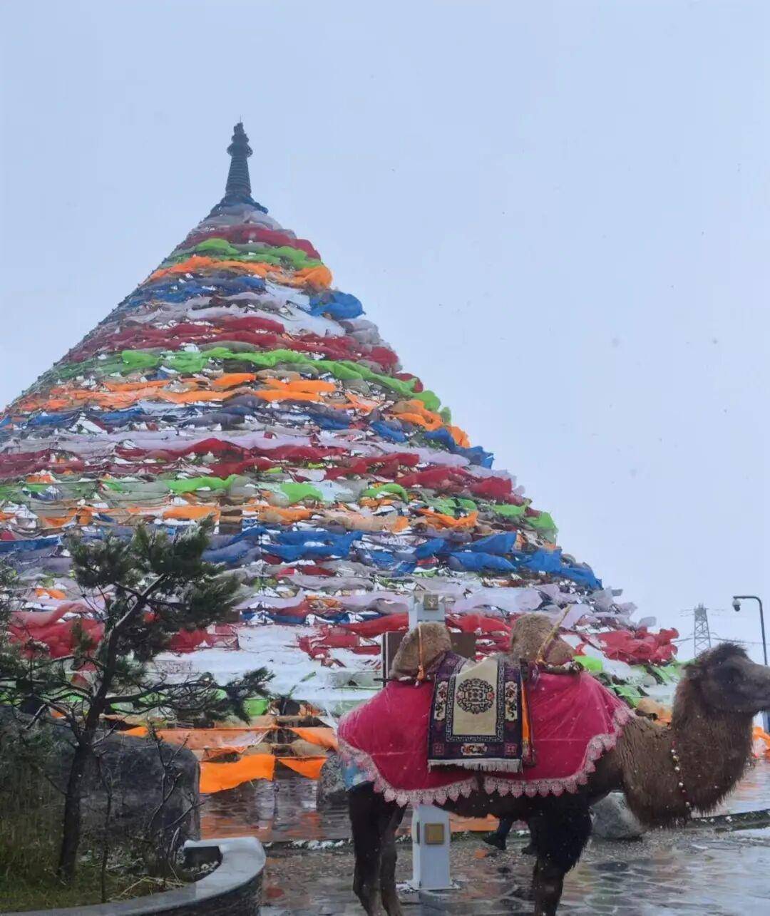 多地突降大雪<strong></p>
<p>万科a股票</strong>！