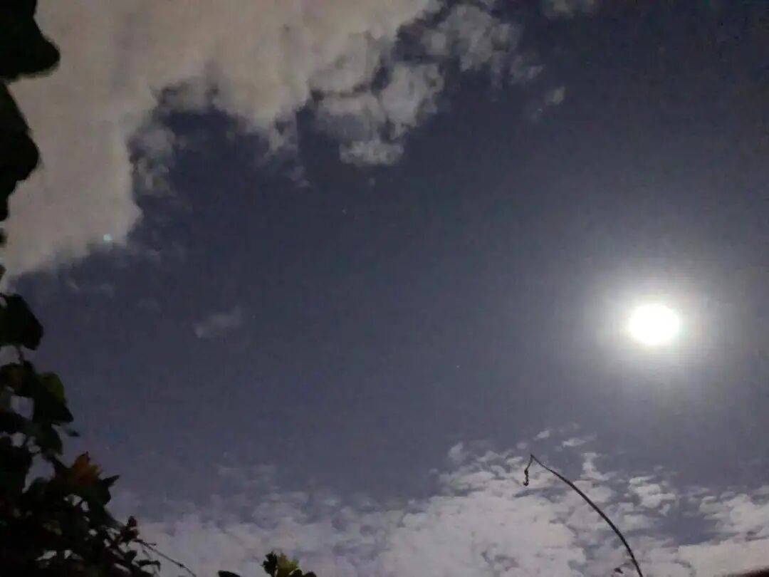 没有什么能阻挡！今天<strong></p>
<p>中油资本股票</strong>，广西人就是要回家！