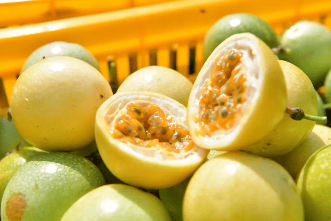 没有什么能阻挡！今天<strong></p>
<p>中油资本股票</strong>，广西人就是要回家！