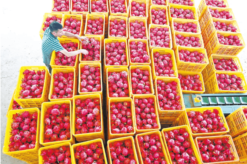 没有什么能阻挡！今天<strong></p>
<p>中油资本股票</strong>，广西人就是要回家！