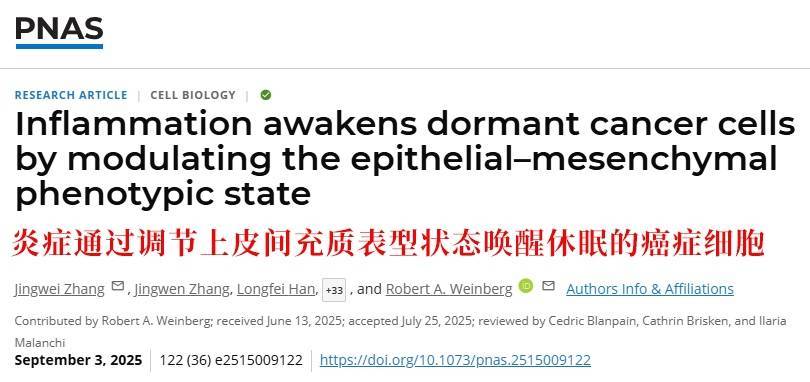 长期炎症会“唤醒”癌细胞<strong></p>
<p>中油资本股票</strong>！这份抗炎指南每个人都该看看