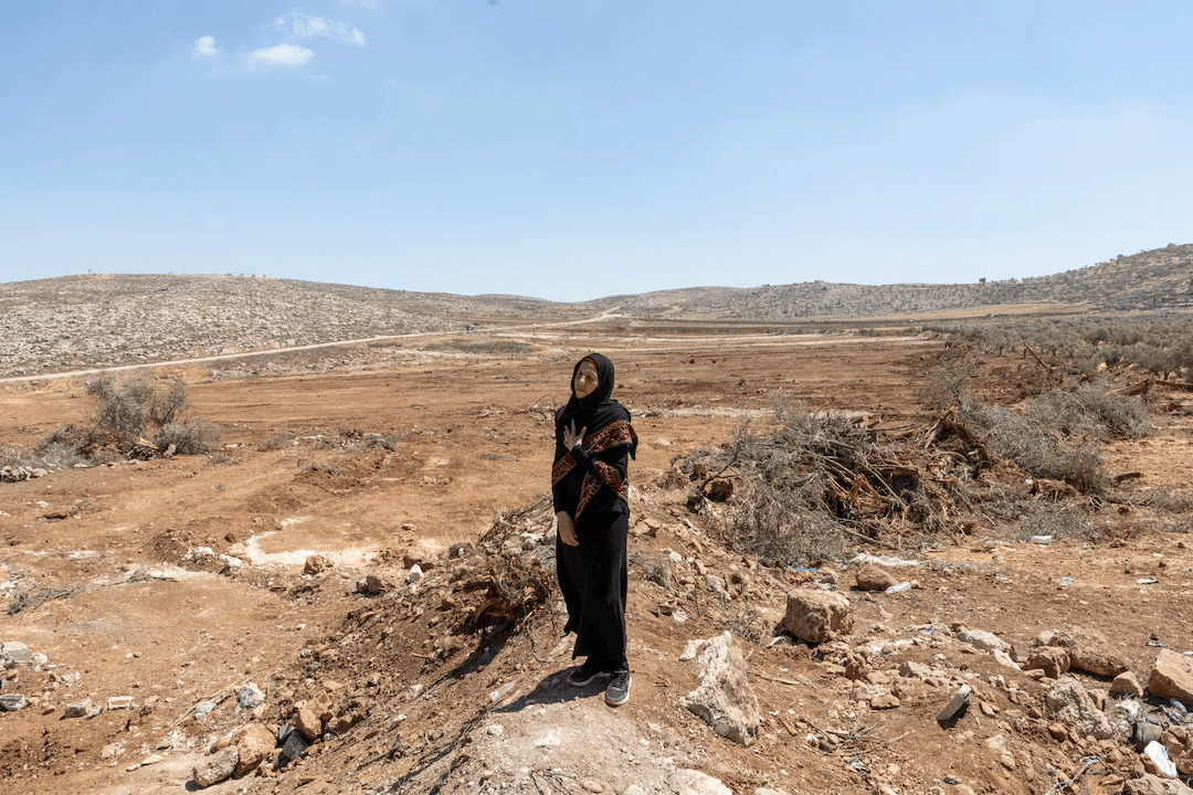 加沙战争两周年：分裂的以色列<strong></p>
<p>法拉第未来股票</strong>，无力的巴勒斯坦