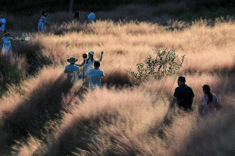 打卡拍照<strong></p>
<p>法拉第未来股票</strong>，再美也不能用生命对焦