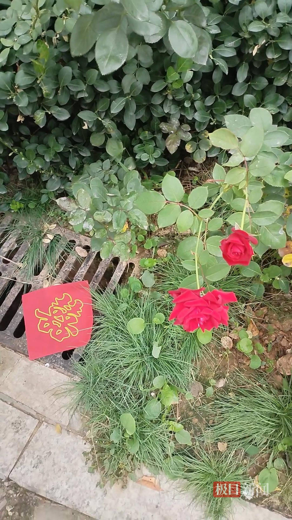 山西婚礼要在下水道井盖贴“喜”字？有的井盖被贴了8张<strong></p>
<p>法拉第未来股票</strong>，当地居民：寓意不踩坑、驱晦迎喜