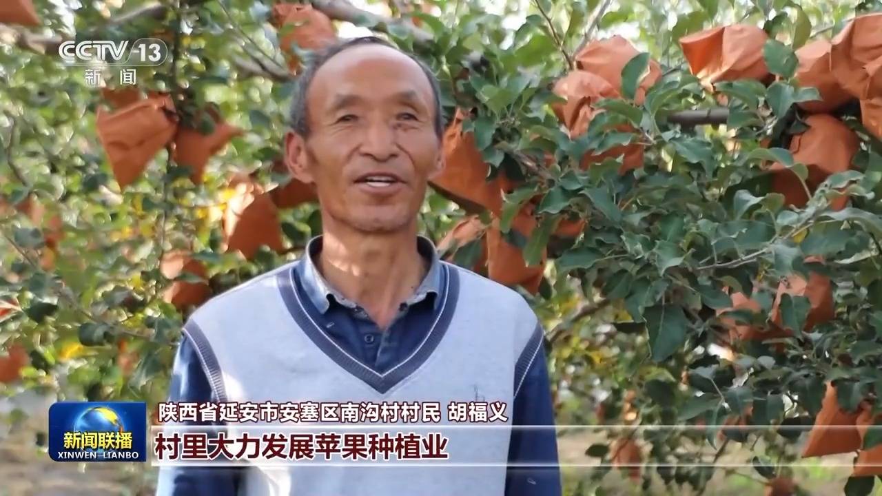 新思想引领新征程丨绘就乡村全面振兴壮美画卷