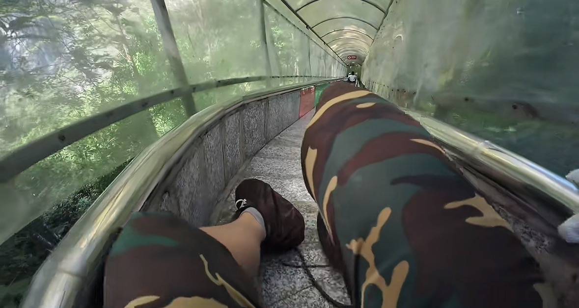 游客称在广西丹炉山滑道遇蛇<strong></p>
<p>王府井股票</strong>，景区致歉：这么多年就这一次，每年都做防蛇处理