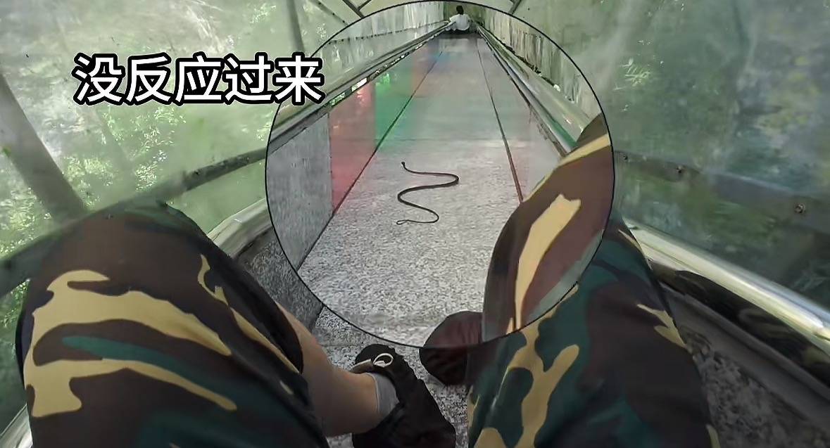 游客称在广西丹炉山滑道遇蛇<strong></p>
<p>王府井股票</strong>，景区致歉：这么多年就这一次，每年都做防蛇处理