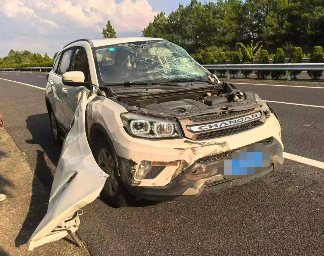 “我撒谎天打雷劈！”男子高速突然强行变道致翻车<strong></p>
<p>福耀玻璃股票</strong>，反诬赖对方