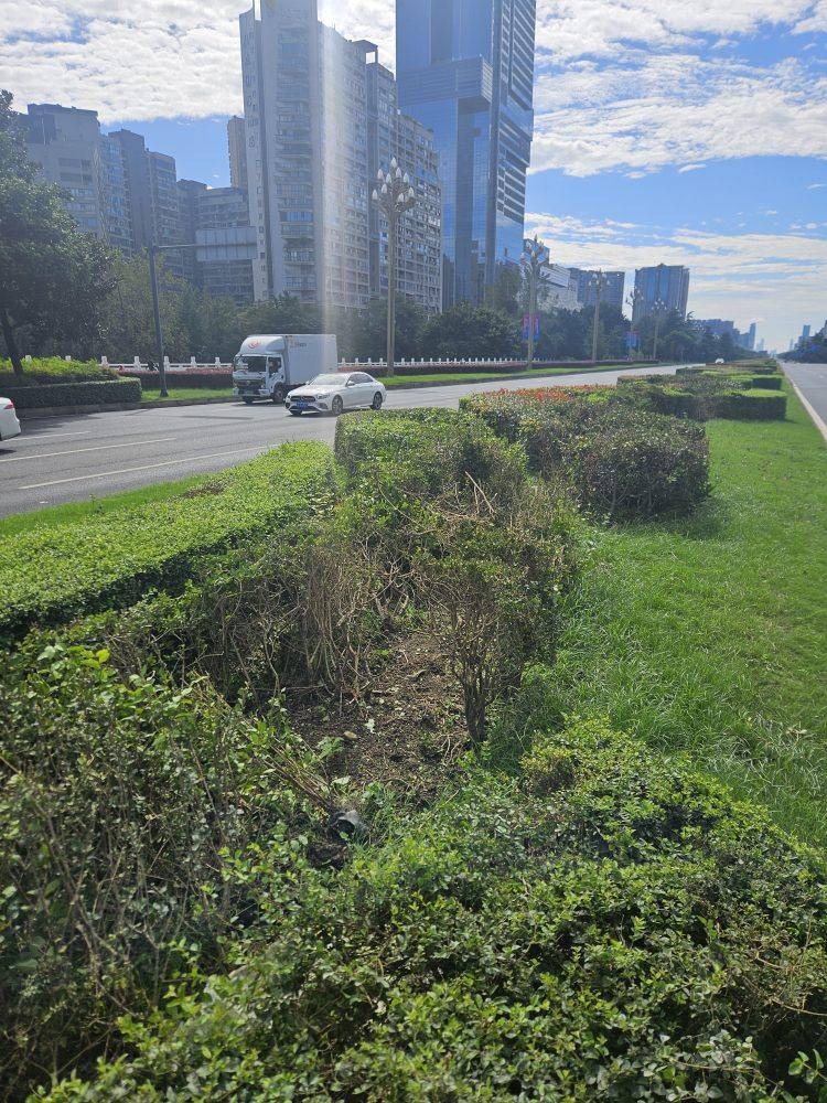 成都发生一起严重交通事故<strong></p>
<p>宁波银行股票</strong>，上游新闻实地探访：燃烧留下的印记仍在